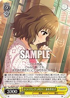 トラベリング・メモリー 並木芽衣子 【IMC/WE51/08N】